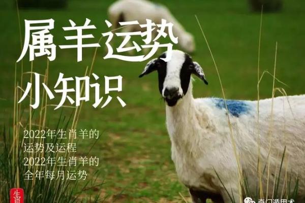 属羊的人今年几月份开业最吉利，详细开工吉日查询与风水建议