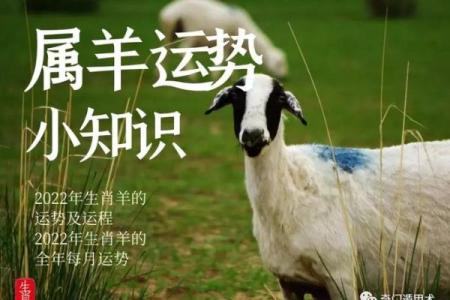 属羊的人今年几月份开业最吉利，详细开工吉日查询与风水建议