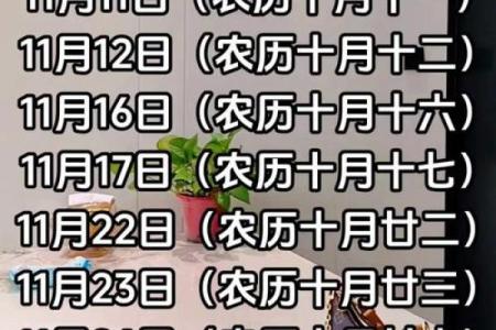 十一月动土吉日
