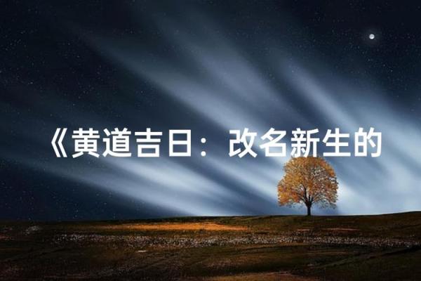 盘点：2025年12月最佳生子吉日查询，农历黄道吉日与生辰八字配对推荐