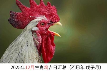 刚刚发布：属鸡的人在2025年12月哪天提车最吉利？黄历宜忌详细解析