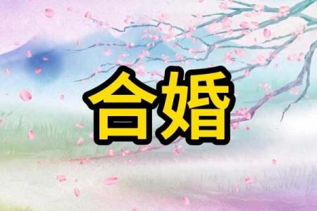 首曝：2025年10月8日结婚好吗？八字合婚与黄道吉日详细解析
