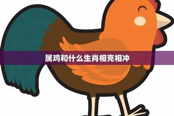 今早上：属鸡的车主提车黄道吉日怎么选？避开冲煞的注意事项大全