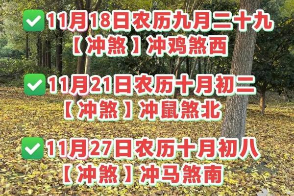 上午：2025年11月嫁娶择日指南，如何挑选良辰吉日避免冲煞？
