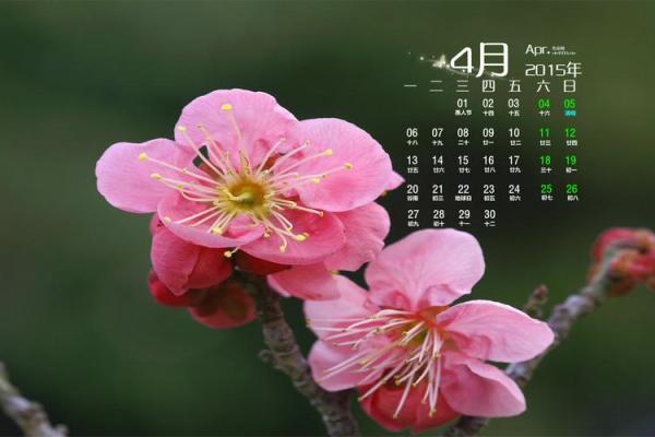 2027年1月份最旺起基动土吉日，简单日历词语释义全面解析最佳精选