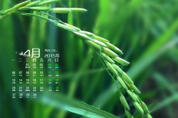 2027年2月份宜开业最佳时机，绝佳日历词语释义解读最佳精选全面解释