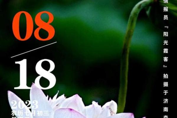 2027年1月份宜分手的日子,绝密破译日历词语解析最佳全面精选释义 2027年1月份宜分手的日子,绝密破译日历词语解析最佳全面精选释义