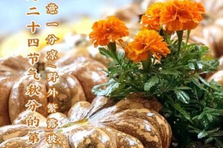 2027年2月份适合竖柱日子，重磅日历词语解析精选最佳全面释义