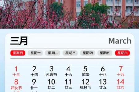 2027年2月份适合放水日子，标准日历词语解答全面精选最佳释义
