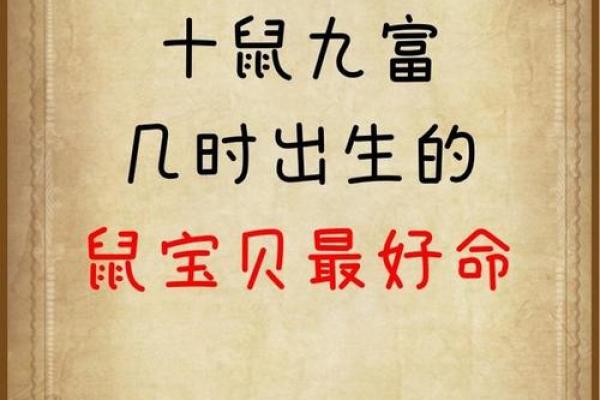 1984年属鼠一生的命运(1984年属鼠一生命运男孩)
