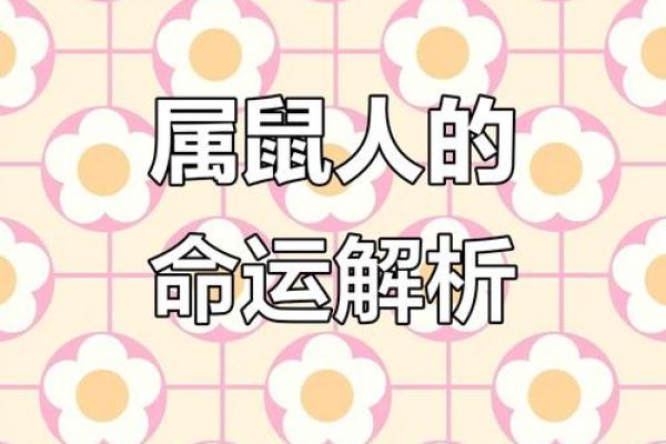 1984年属鼠今年运势(1984年属鼠今年运势如何)