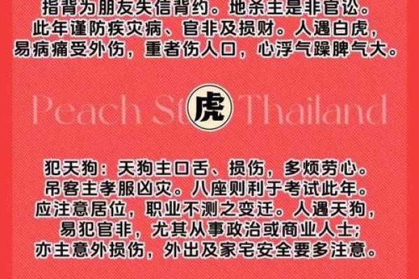 属鼠2025年运势及运程1984年出生(属鼠2025年运势及运程1984年出生运势每月运势)