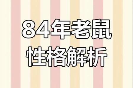 1984年属鼠今年运势(1984年属鼠今年运势如何)