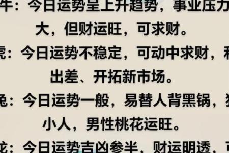 属鼠人2026年全年运势(属鼠人2026年全年运势运程男性)