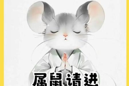 84年属鼠男2025年运势(84年属鼠男2025年运势和婚姻)