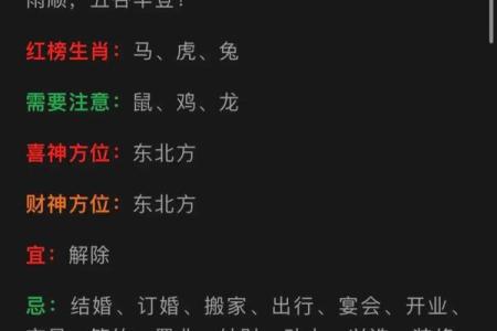属鼠今天打牌财运(属鼠今天打牌财运好不好阳历11月2号2024年)