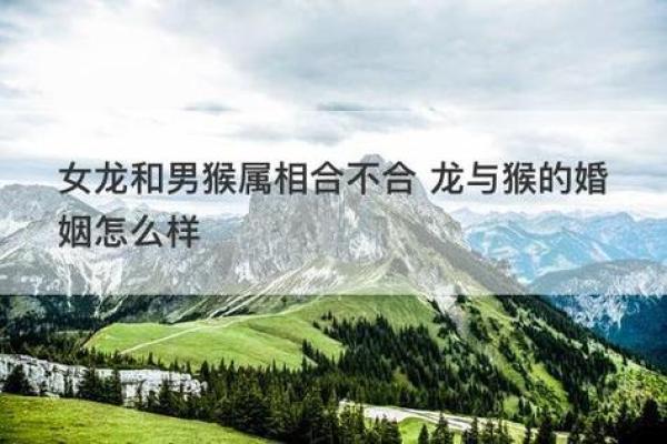 属猴男属龙女5月结婚吉日