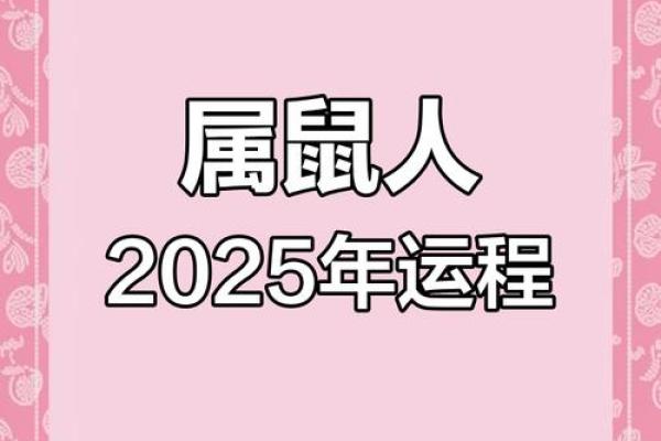2025年72年鼠男运势(鼠2025财运大爆发的一年)