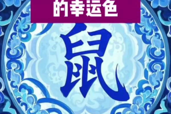 属鼠的人颜色是幸运色(属鼠的人颜色是幸运色吗)