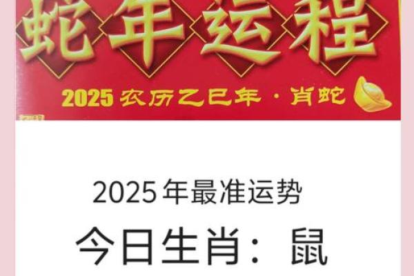 鼠肖2025年运程每月(属鼠的2025年财运各方面怎么样)