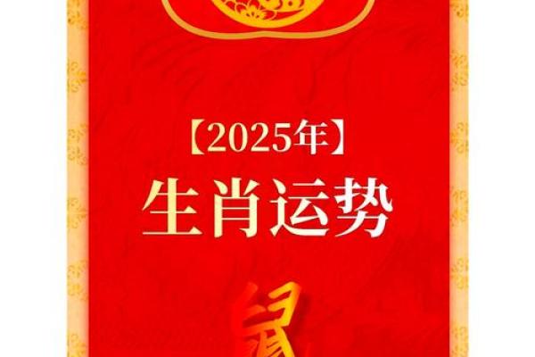 属鼠2025年的运气和财运怎么样(属鼠人2025年的运势)