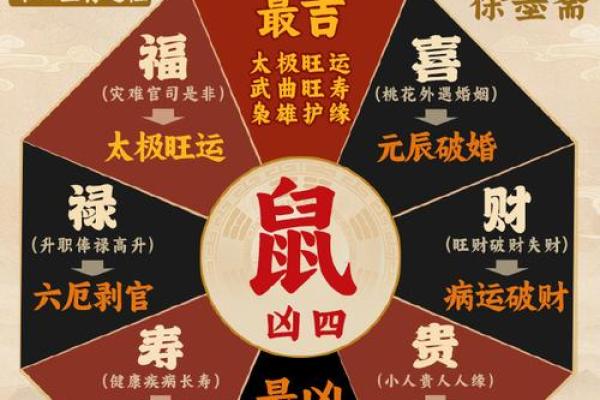 属鼠人今年的运气和财运(属鼠人今年运势如何)