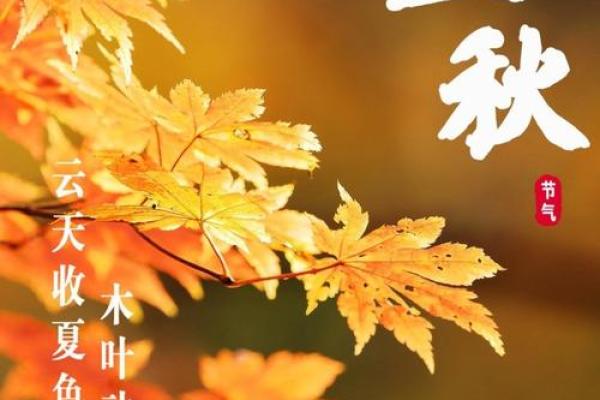2021立秋下一个节气是什么 立秋后的节气是哪个