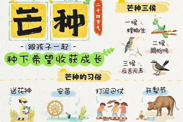 芒种节气讲解 了解芒种节气