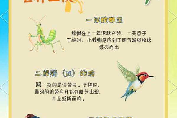 芒种节气的寓意是什么 芒种节气的深刻含义