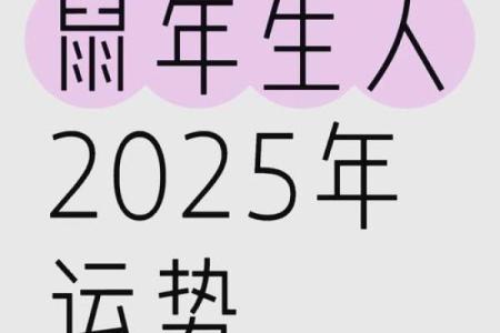 属鼠2025年运势和财运怎么样(属鼠2025年运势和财运怎么样84年)
