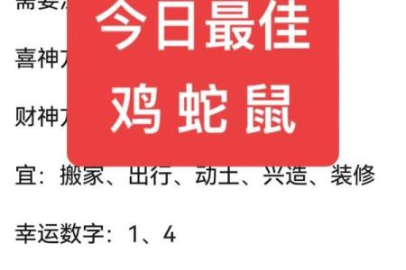 72鼠今日运势(72鼠今日运势最准的)