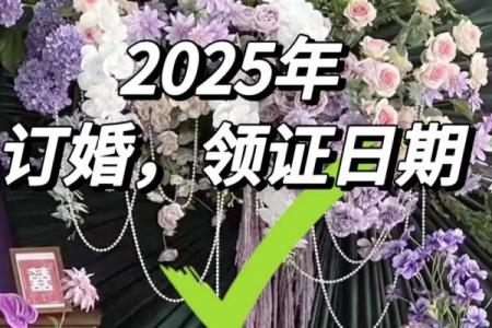 2025年什么日子适合领证(2025年什么日子适合领证结婚)