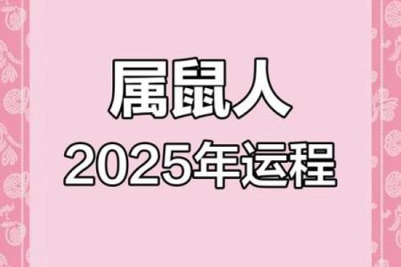 2025年72年鼠男运势(鼠2025财运大爆发的一年)