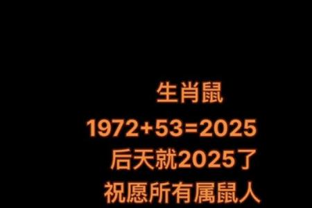 72年的鼠2025年运气怎样(72年的鼠2025年运气怎样男)