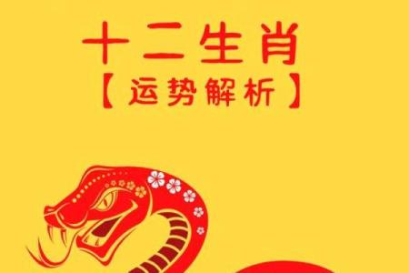 2025鼠年幸运色(2025年属鼠人的运程)