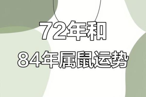 84年属鼠女今日运势(72年鼠女今年每月运程)