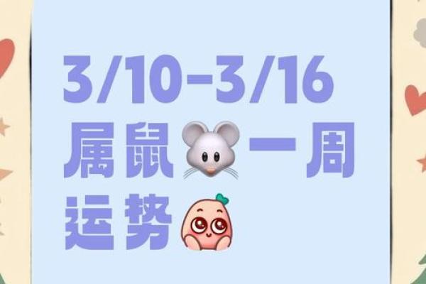 属鼠人今日运势查询(属鼠人今日运势查询)
