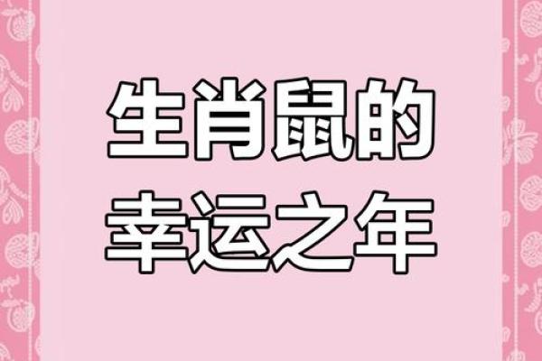 属鼠人未来五年运势(属鼠人未来五年运势怎么样)