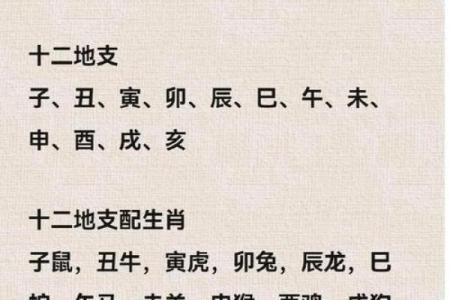 72年属鼠女2025年的运程和每月运势(72年属鼠女2025年的运程和每月运势怎么样)