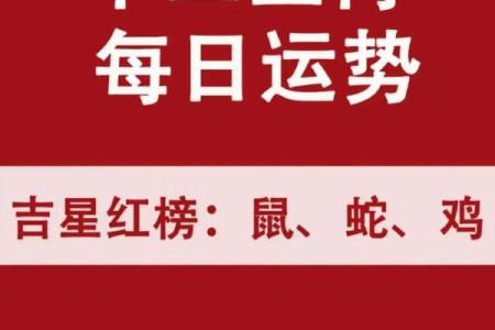 今天属鼠的财运怎么样(旺偏财运最灵的方法)