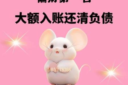 96年属鼠女2025年每月运势(96年属鼠女2024年运势)