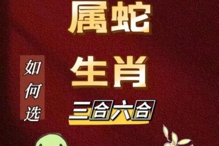 2025鼠的全年运势如何(2025属蛇的全年运势)