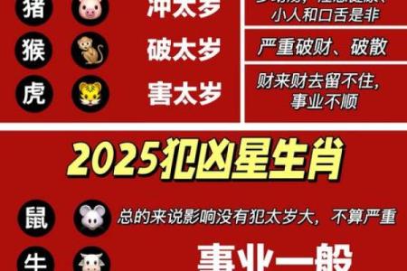 属鼠之人2025年运势(属鼠之人2025年运势及运程)