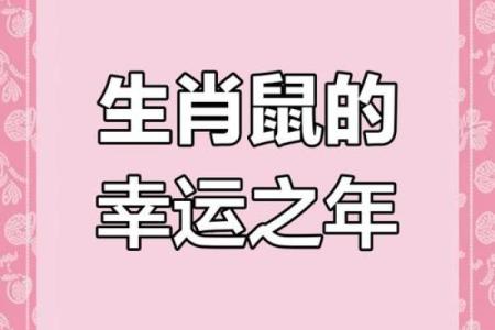 属鼠人未来五年运势(属鼠人未来五年运势怎么样)
