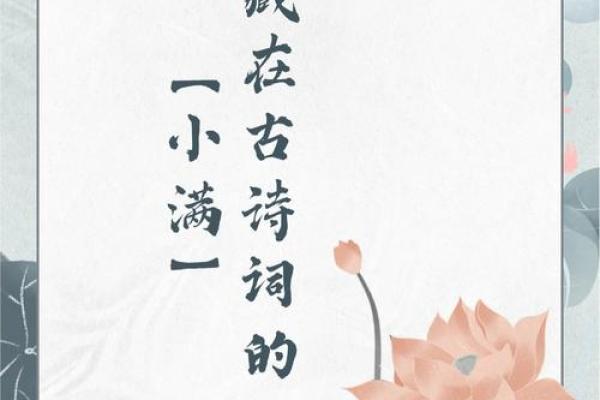 小满节气相关的诗词
