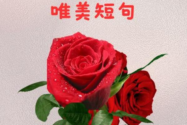 祝女神节日快乐的句子 女神节祝福语大全