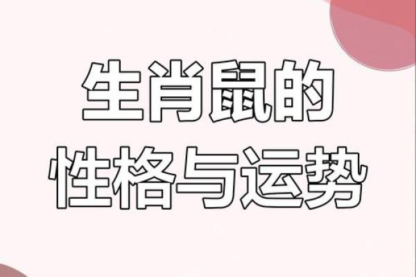2008年属鼠女孩一生命运(2008年属鼠女孩一生命运怎么样) 2008年属鼠女孩一生命运(2008年属鼠女孩一生命运怎么样)
