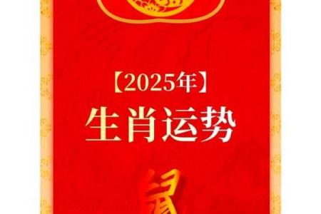 1972男鼠2025年运势(1972年属鼠人2025年运势运程每月运程)