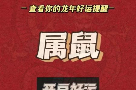 72年2025年属鼠人的全年运势(72年属鼠的人2023年的运势及运程)