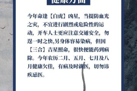 1972年属鼠女2025年每月运程(1972年鼠女2022年每月运程月运程)